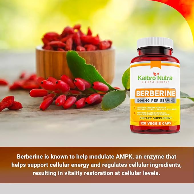 Kaibro Nutra Berberine Supplement 1000mg Berberine HCL for Immune System Glucose Support Circulatory &amp Gastrointestinal Health Vegan &amp Gluten-Free 120 Capsules