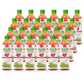 ALEO 0.5L Premium Pomegranate Aloe Vera Drink - Natural No Preservatives No Artificial Colors Superior Taste Award 2025 (24 PCS Pomegranate-0.5L)