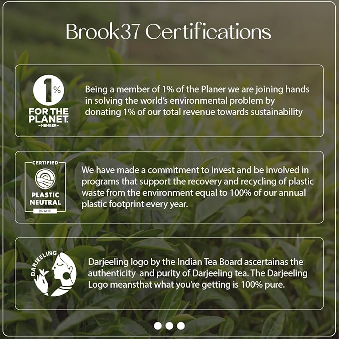 Brook37 Bourbon Street Sip - Premium Exotic 2nd Flush Black Darjeeling Tea | Caffeinated | 20 Tea Bags Canister | Breakfast tea | Award Winning Tea Gifts
