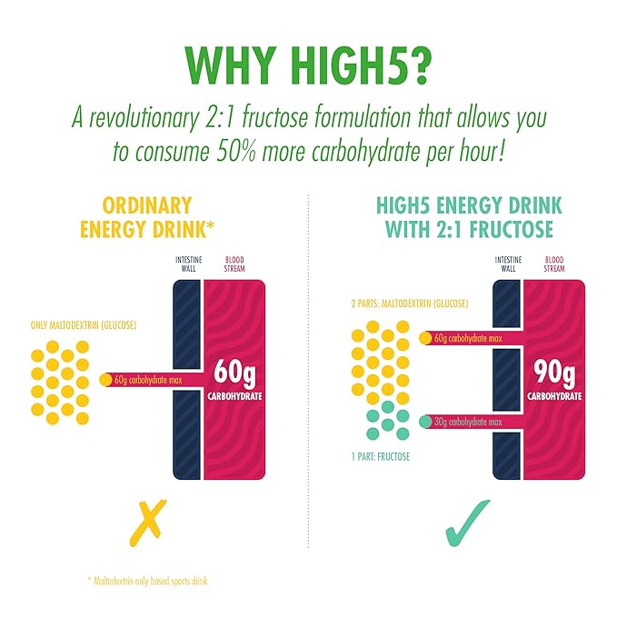 HIGH5 Energy Hydration Drink Refreshing Mix of Carbohydrates and Electrolytes (Citrus 12 x 47g)
