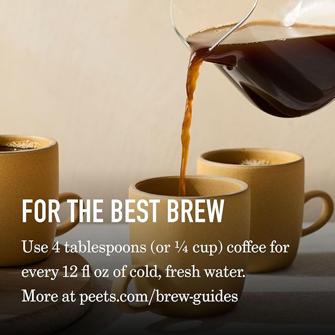 Bundle of Peet's Coffee Ultra Coffee Concentrate Cold Brew or Iced Coffee - Espresso Forte 8 Fluid Ounce Bottle (16 Servings) + Peet's Coffee Medium Roast Ground Coffee - Big Bang 18 Ounce Bag