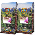 Low Acid Organic Coffee – Whole Bean Mold-Free &amp Stomach Friendly by Java Planet Costa Rican Single Origin Coffee Dark Roast Smooth Full Flavored 2x1LB Bag