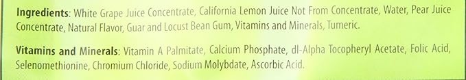 Dr. Smoothie Lemon-Ade 46 Ounce Bottle