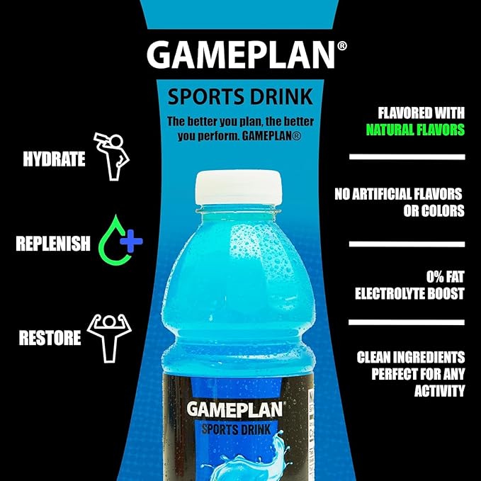 Gameplan Sports Drink Variety Pack - Fruit Punch Mixed Berry Lemmon Lime Orange - 20 FL OZ - 12 Pack