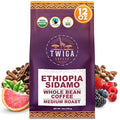 Twiga Coffee Premium Ethiopian Sidamo Whole Bean Coffee – Organic Medium Roast Arabica with Berry Citrus &amp Floral Notes – Single Origin Ethiopia – Freshly Roasted 12 oz