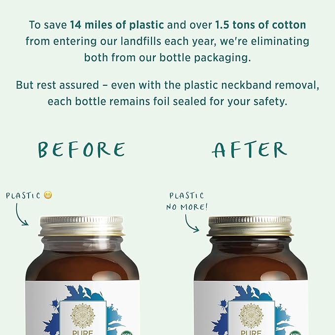 PURE SYNERGY SuperPure Fucoidan Extract | Gluten-Free Fucoidan from Organic Brown Seaweed | for Immune Health Digestion and Healthy Aging (60 Capsules)