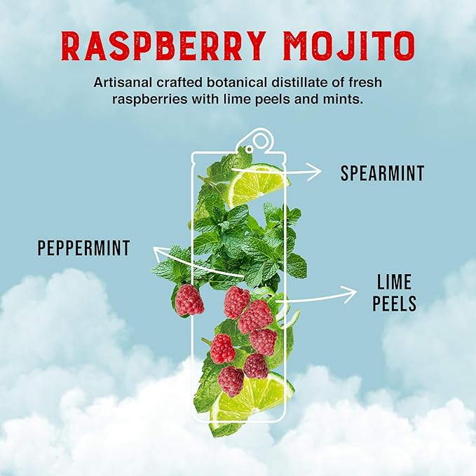 CLEVER - Raspberry Mojito Nonalcoholic Mocktails for Any Occasion Sugar-Free Beverages with Botanical Extracts Low-Calorie Mocktails Non-alcoholic Drinks with 10 Calories Pack of 12 (12 oz Ea)