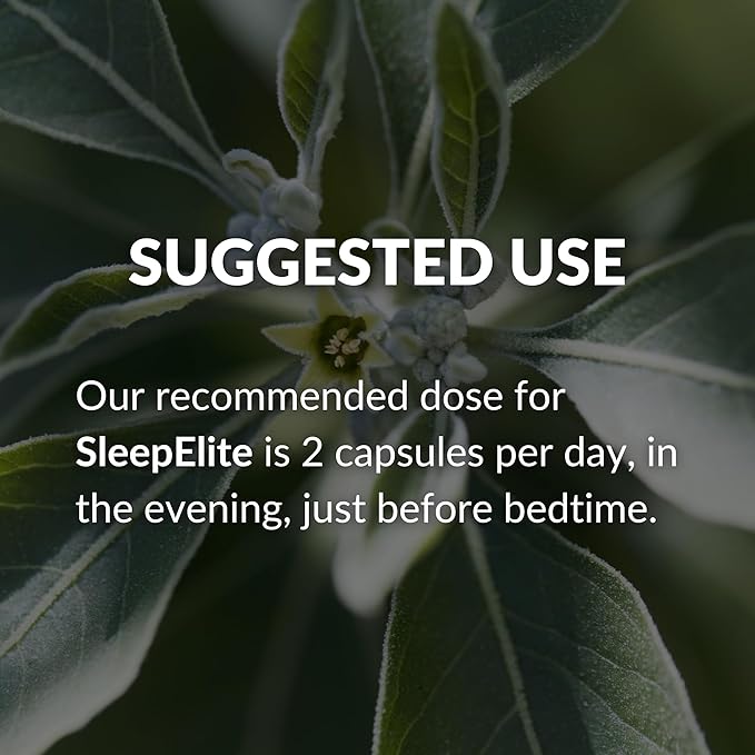 Mara Labs SleepElite | Supports Brain Function Mood and Sleep | with Serotonin Catalysts | 30 Servings