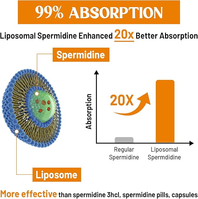 30mg Spermidine Supplement for Men &amp Women High Absorption More Potent Than Spermidine 3HCL - for Cellular Renewal Longevity &amp Cognitive Fermented Wheat Germ Extract Pure &amp Natural 6