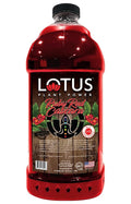 Ruby Red Cascara | Lotus Plant Energy Drink Concentrate | Pure Cane Sugar | 64 fl oz | 1:5 | Natural Caffeine from Green Coffee Bean