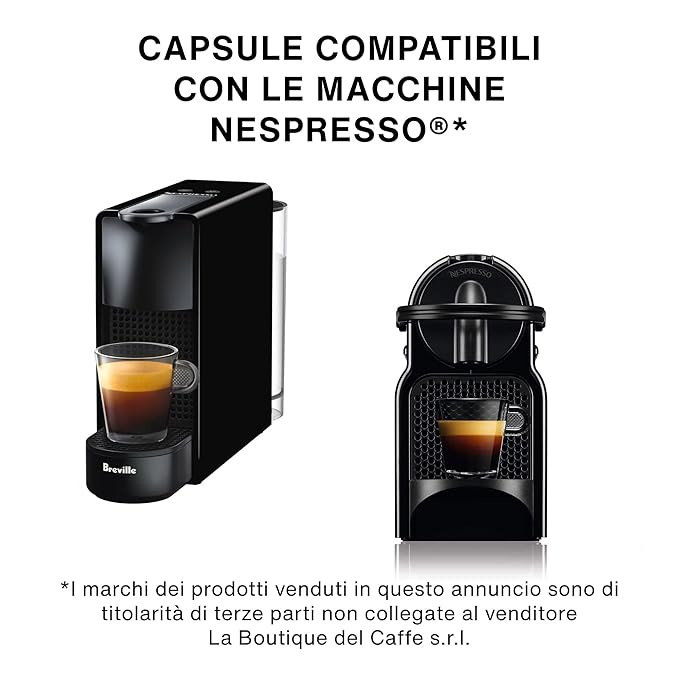ITALIAN COFFEE Espresso pods compatible with Nespresso Original machines Aluminum Organic capsules (The VanGogh aluminum 100 count (Pack of 1))