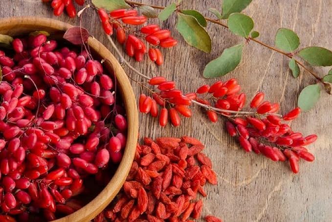 PURE ORIGINAL INGREDIENTS Berberine (730 Capsules) No Magnesium Or Rice Fillers Always Pure Lab Verified