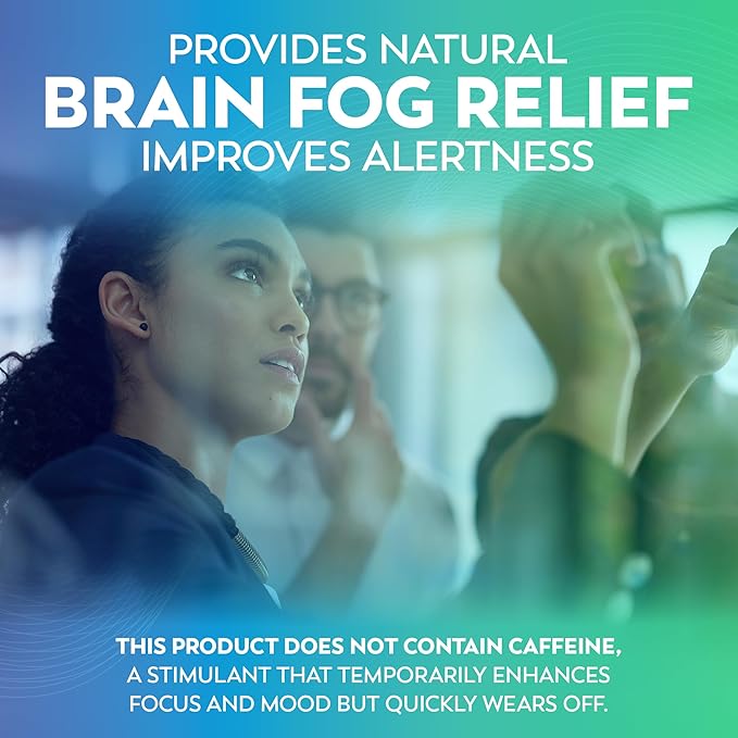 Brain Supplements for Memory and Focus – Dr Lewis Daily Brain Care Powder with Aloe Vera – Plant-Based Nootropic and Energy Supplement for Brain Fog Mental Clarity and Immune Support – Powder 150g