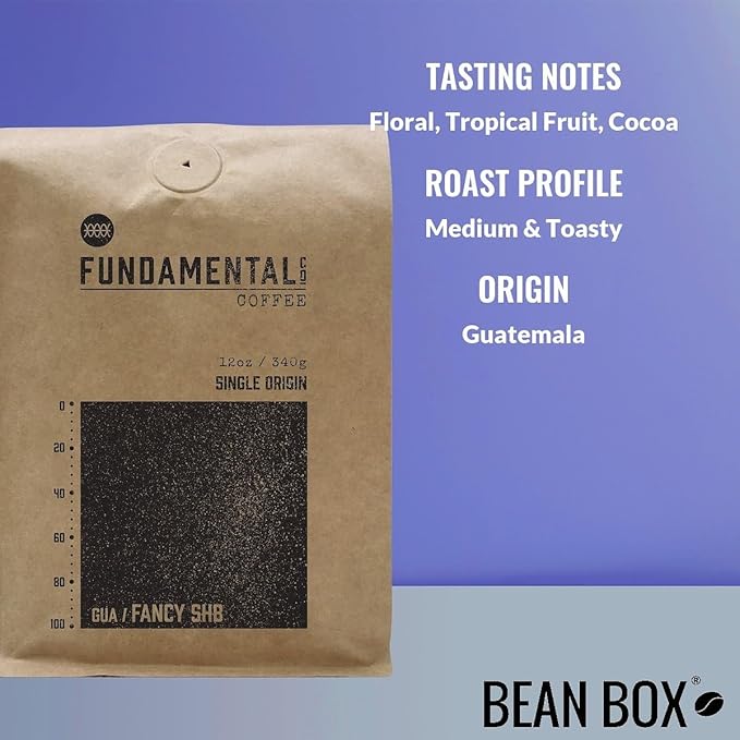 Bean Box Sampler - Roasted by Fundamental Company 3-Pack Freshly Ground Coffee Gourmet Coffee
