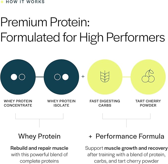 Gainful Performance Whey Protein Powder 25g Protein per Serving Unflavored Supports Muscle Growth Recovery and Endurance with Tart Cherry Powder No Artificial Ingredients 14 Servings
