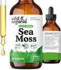 Wild &amp Organic Sea Moss Drops - Overall Support with Irish Seamoss and Bladderwrack - Multimineral Chondrus Crispus Tincture - Vegan Sugar &amp Alcohol-Free Liquid Supplement - 4 fl oz