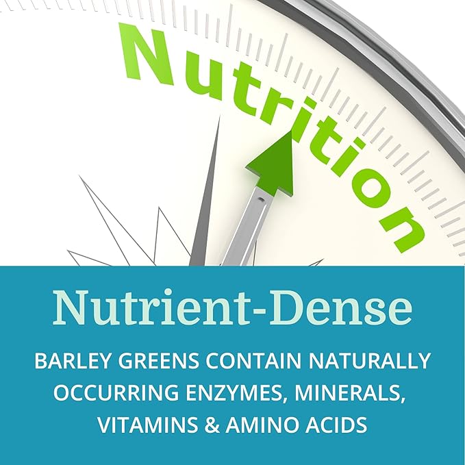 Alka•Green Tablets Best Process Alkaline — Nutrient Dense Organic Barley Grass Supplement — Natural Source of Enzymes &amp Amino Acids