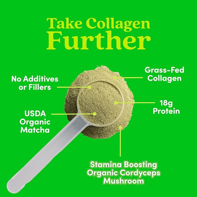 Further Food Matcha Collagen Peptides Powder - Organic Matcha &amp Cordyceps for All Day Energy Mental Clarity &amp Immunity &amp Premium for Gut Health Joints Skin Hair &amp Nails 10.62 oz