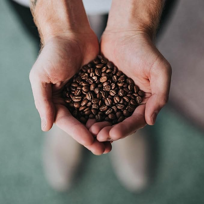 Coffee Bean Direct City Roast Brazilian Santos Whole Bean Coffee Medium Roast 5 Pound Bag (Pack of 1)