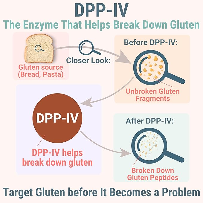 Gluten &amp Lactase Digestive Enzyme Gummies – Lactase Pancreatic Enzymes with DPP‑IV Lipase Gluco‑Amylase Lactase Drops Chewables Capsules Pills Powder Supplement Alt Pancreatic Support for Kids