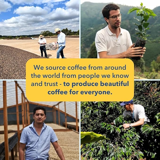 PARTNERS COFFEE ROASTERS - Whole Bean Coffee (Manhattan - Dark Roast) 12oz (2 Pack) - Rich Deep &amp Flavorful Omniroast - Whole Coffee Beans - Lab Tested for Mycotoxins &amp Heavy Metals - Hand R