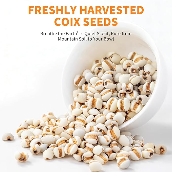 Baihuatang Natural Jobs Tear Coix Seeds for Tea ‌| 14.11oz (400g) | No Additives No Sugar | Whole Grain for Porridge/Soup 薏米 薏苡仁