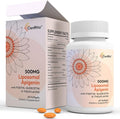 Liposomal apigenin 500mg Softgels - Optimal Apigenin Supplement with Fisetin Quercetin and Theaflavins (60 Count (Pack of 1))