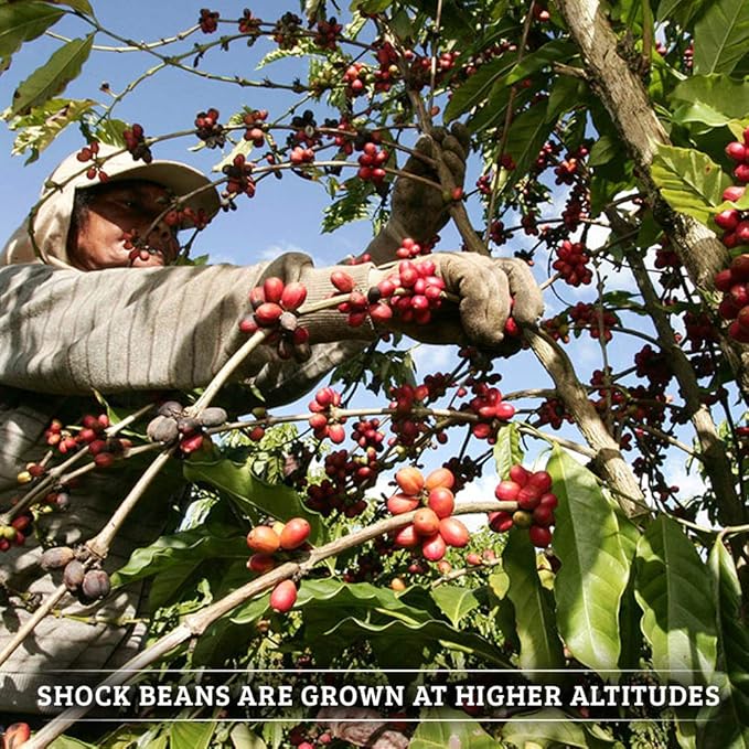 Shock Coffee Ground Stay Fresher Packs. The Strongest Caffeinated All Natural Coffee Up to 50% more Caffeine than Regular Coffee 6.6 pounds (40-2.65oz bags)