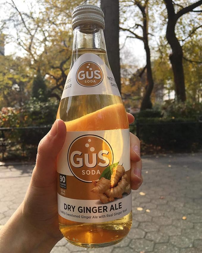 GuS Soda - Extra Dry Ginger Ale - 12 oz (6 Glass Bottles)