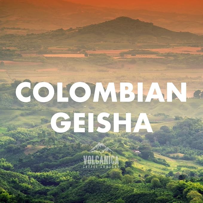 Geisha Colombia Coffee Whole Bean Fresh Roasted 16-ounce