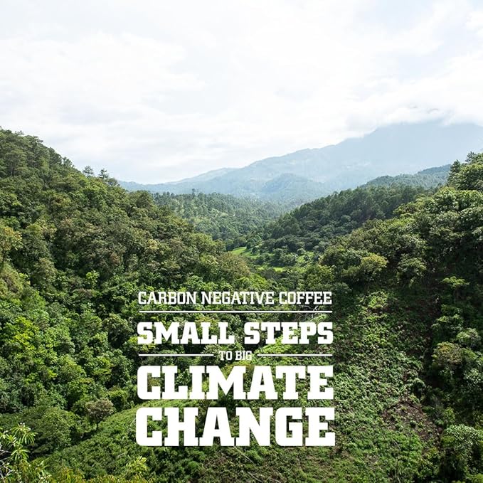 Tiny Footprint Coffee Organic Signature Blend Light Roast - Whole Bean Coffee USDA Organic &amp Carbon Negative - You Drink Coffee We Plant Trees 3 Pounds