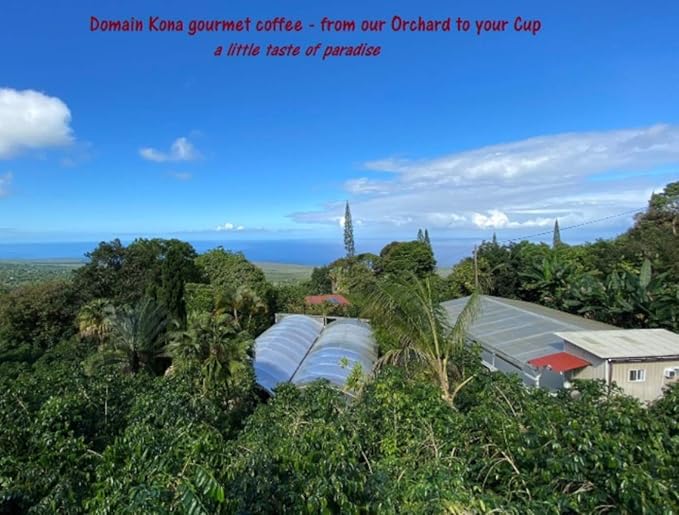 100% Kona Coffee PEABERRY – GROUND Almost Dark roast Single estate gourmet coffee 8 ounces ships direct from Domain Kona Coffee farm fresh