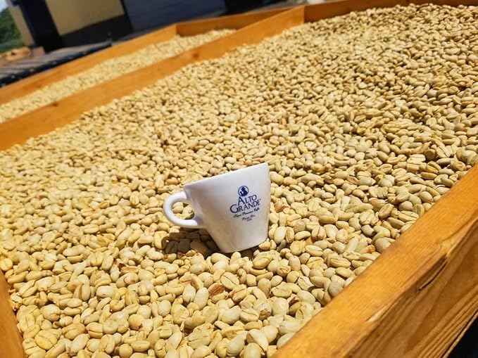 Alto Grande Ground Dark Roast Arabica Coffee Single-Serve Pods 72 Count Compatible with Keurig K Cup Brewers