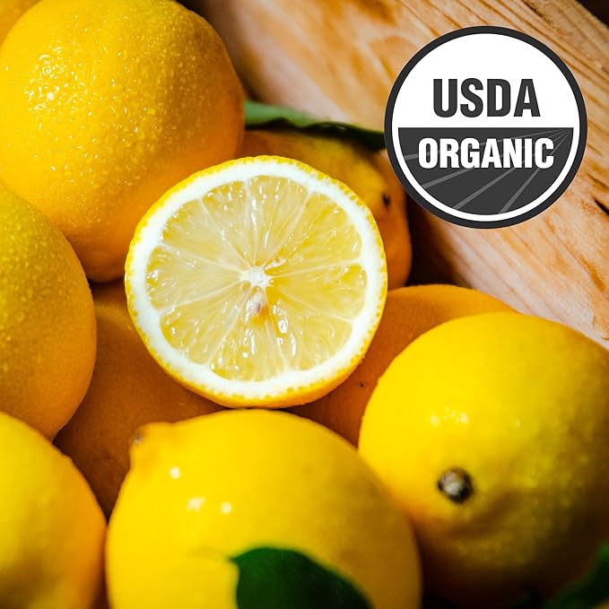 Galvanina Lemon – Premium Organic Italian Sparkling Soda 12 fl oz (12 Glass Bottles) | Crafted with Sicilian Lemons for a Zesty Refreshing Drink.