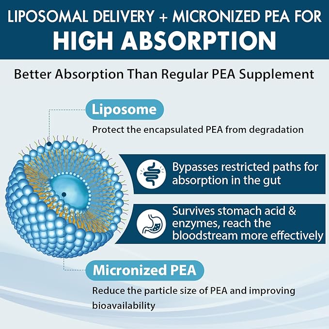 Liposomal Palmitoylethanolamide 1300 MG Plus Luteolin 100 MG Superior Absorption Micronized Pea Supplement for Discomfort Management 60 Softgels