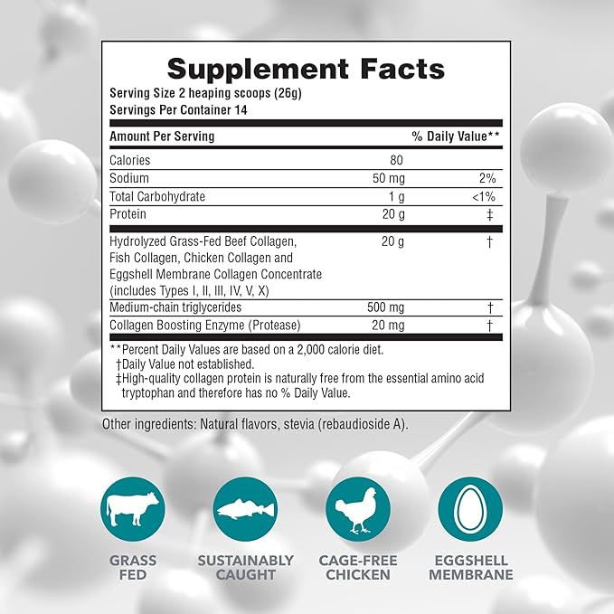 NaturesPlus Collagen Peptides Vanilla - 0.8 lb Powder Pack of 2 - Hair Skin Nail &amp Joint Health Immune System Support - Non-GMO Gluten Free - 28 Total Servings