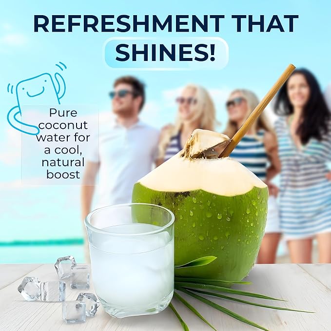 OKF Coconut Juice with Coconut Jelly Original Coconut Water Non GMO No Preservatives No Artificial Color Gluten Free/Fat Free 16.9 Fl Oz (Pack of 20)