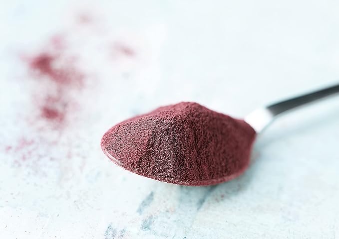 Food to Live Organic Mulberry Juice Powder 9 Pounds – Non-GMO Made from Raw Dried Berries Unsulfured Vegan Bulk Great for Baking Juices Smoothies Yogurts Contains Maltodextrin No Sulphites