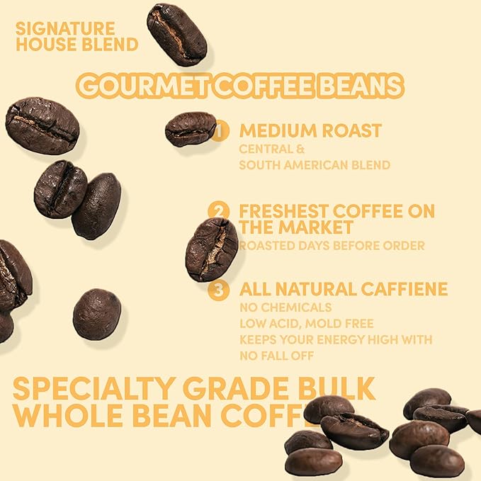 Sarasota Coffee Whole Bean Signature House Breakfast Blend | Medium Roast Gourmet Coffee Beans | Low Acid Mold Free Specialty Grade Bulk Beans | 5lb (80 oz)