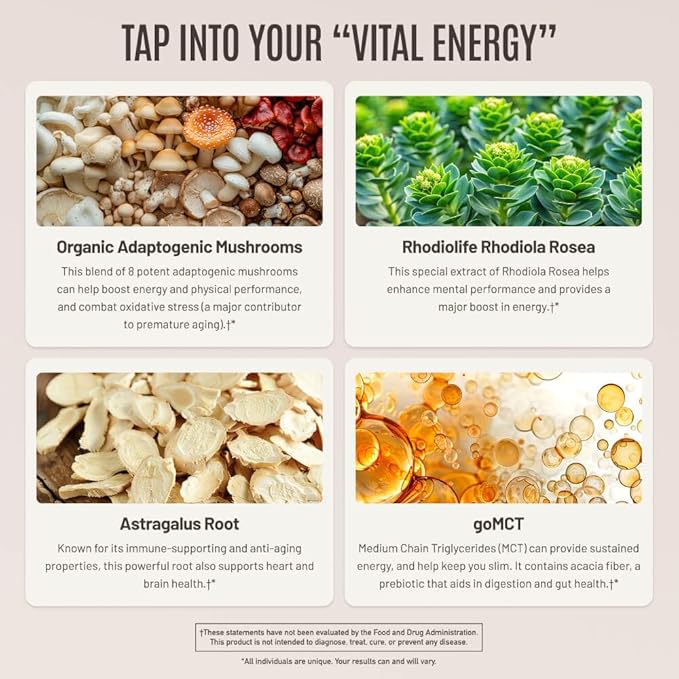 ROUNDHOUSE PROVISION Morning Kick Zero Sugar Greens Superfood Powder Supplement 3 Pack and Qi Master Wellness Bundle by Chuck Norris