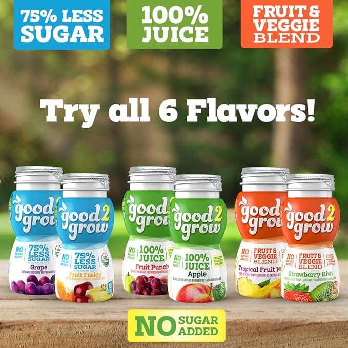 good2grow 100% Fruit Punch Flavored Juice for Kids - Juice Bottles Bulk 24 Pack Reusable Bottle No Sugar Added Good Source of Vitamin C - 6 fl oz Pack of 24 (Spill Proof Tops Not Included)