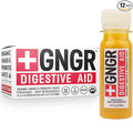 +GNGR Digestive Aid – Organic Ginger Shot with Turmeric &amp Black Pepper. High-Absorption Curcumin with Probiotics for Immune Digestive &amp Gut Health. Cold-Pressed Ginger Shots. 2 fl oz Bottles