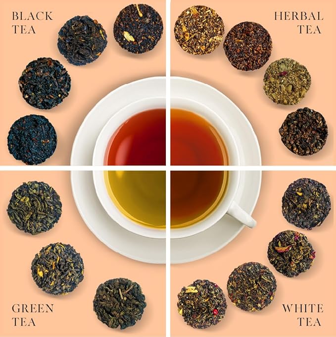 iLOLA 2-pack Loose Leaf Tea Discs Citrus Punch No. 53 | Oprah’s Favorite Things 2022 | Oolong Tea w/Orange Cranberry Lemongrass Safflower | Medium Caffeine | No Tea Bag Needed | 12 Individual Discs