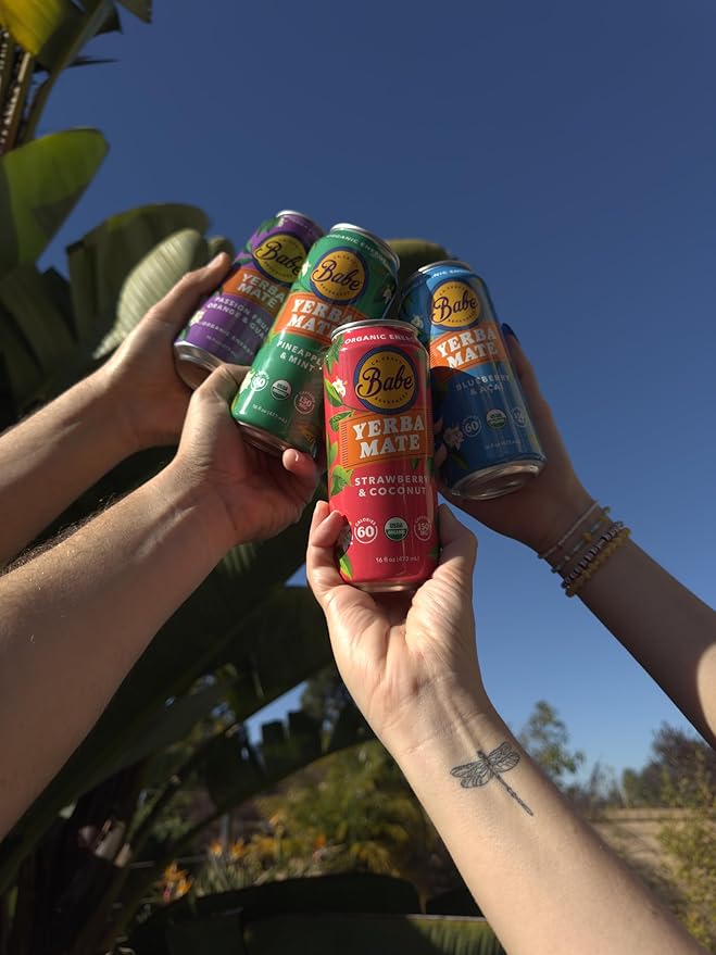 Babe Organic Yerba Mate Energy Drinks | 150mg Plant-Based Caffeine | Natural Yerba Mate Tea with No Crash No Jitters - Sample Pack (6 x 16oz Cans)