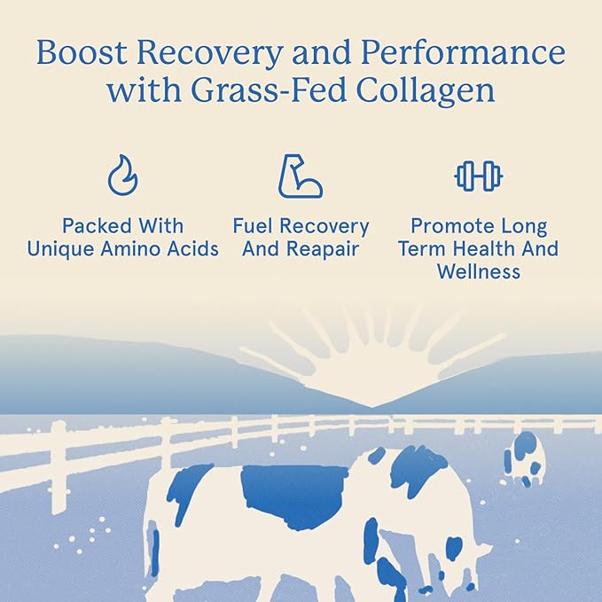 Equip Foods Grass Fed Collagen Powder | Hydrolyzed Bovine Collagen Peptides with Amino Acids | Prime Beef Collagen for Healthy Joints Skin &amp Nails | Non-GMO Paleo Friendly | 30 Servings Chocola