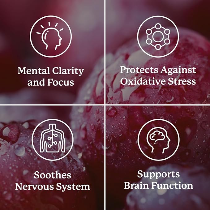 Nature's Sunshine Focus Attention 90 Capsules Provides Nutrients That Help Maintain Normal Brain-Stimulation Levels While Supporting Blood Circulation and Neurotransmitter Levels in The Brain