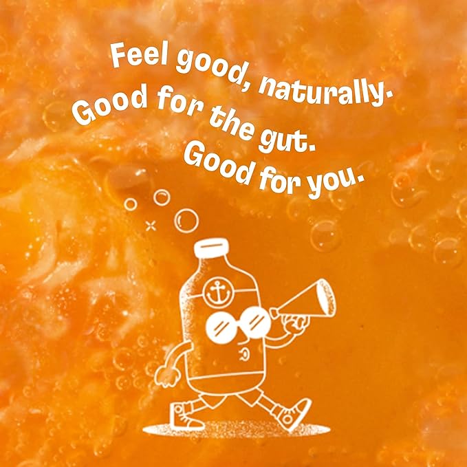 Health-Ade Kombucha Tea Organic Drink Fermented Tea with Living Probiotics Detoxifying Acids Supports Gut Health Non-GMO Vegan Gluten Free 6 Pack (16 Fl Oz Bottles) Pomegranate