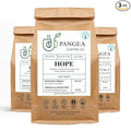 Pangea Flavor Discovery Pack – Whole Bean Organic Sampler 3-Pack (10oz Bags) – Low Acid Allergen-Free Specialty Arabica Clean Coffee