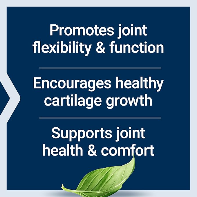 Life Extension NT2 Collagen™ Joint Health Supplement for Joint Comfort &amp Mobility Gluten-Free Non-GMO 1 Daily 60 Small Capsules
