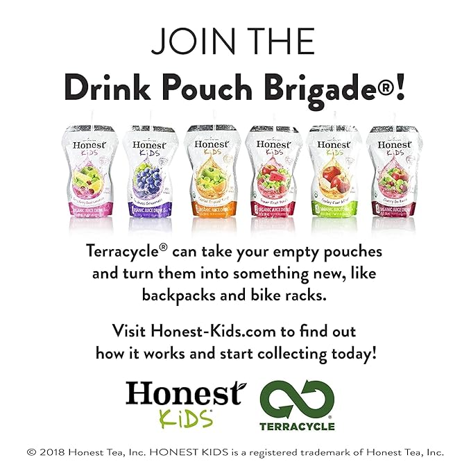 Honest Kids Berry Berry Good Lemonade Juice Drink 6.75 Fluid Ounce - 8 per pack - 4 packs per case.4